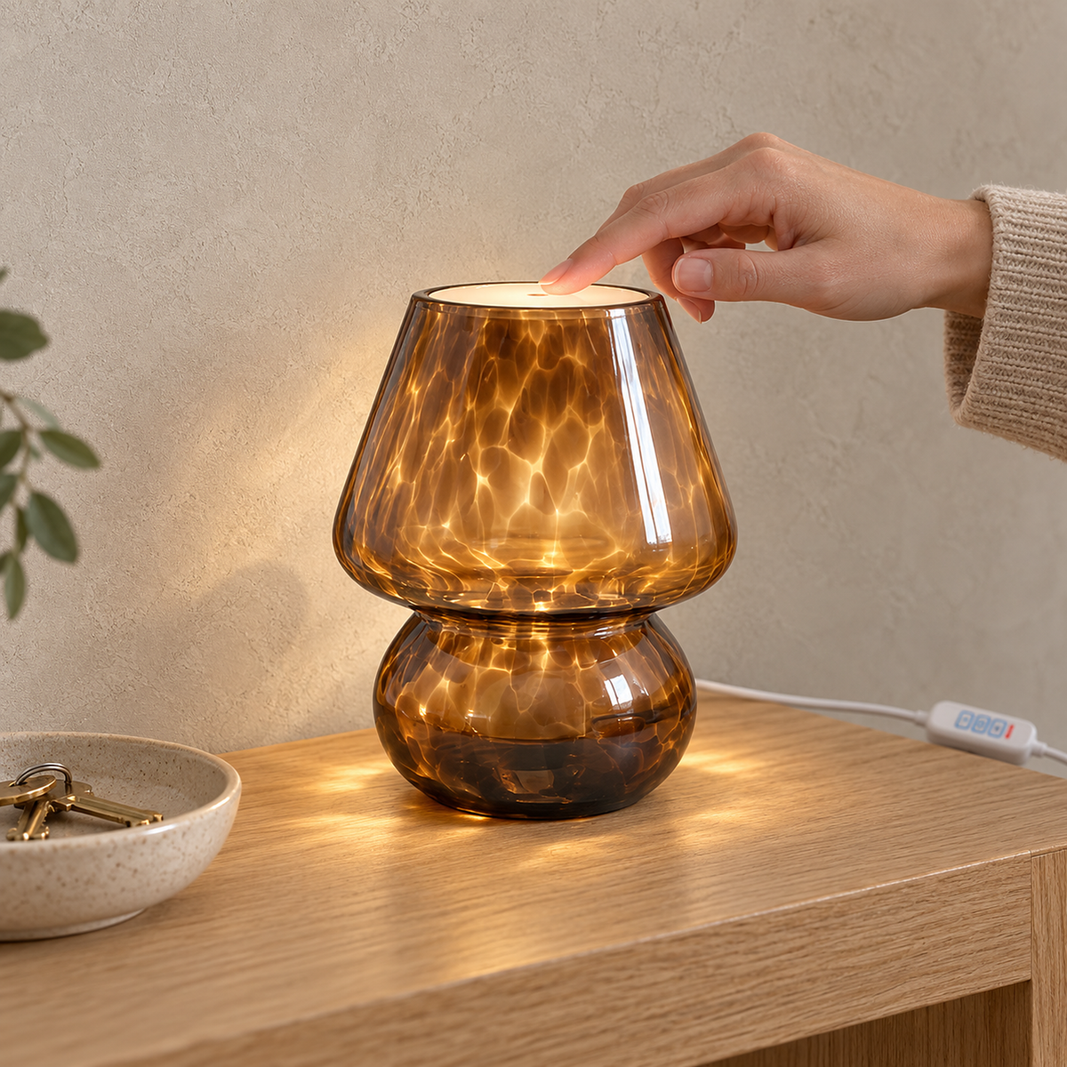 Rimelota brown bedside lamp on an intermediate white color temperature in a daylit entryway